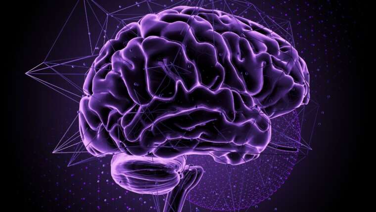 A relação entre o ômega 3 e a saúde do cérebro