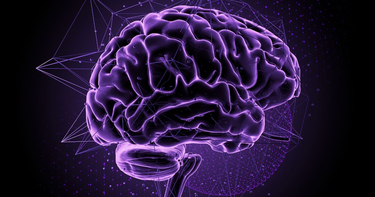 relação entre o ômega 3 e a saúde do cérebro